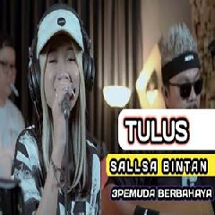 Sallsa Bintan - Tulus Radja Band Feat 3 Pemuda Berbahaya.mp3