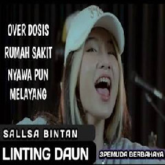 Download Lagu Sallsa Bintan - Linting Daun Overdosis Rumah Sakit Nyawapun Melayang Ft 3 Pemuda Berbahaya Terbaru