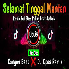 Download Lagu Dj Opus - Dj Selamat Tinggal Mantan Kangen Band Remix Terbaru Full Bass Terbaru