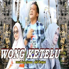 Download Lagu Didi Kempot - Wong Ketelu (Dangdut) Terbaru