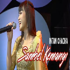 Download Lagu Intan Chacha - Sambel Kemangi (Dangdut Version) Terbaru