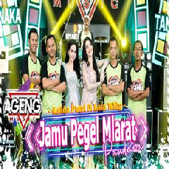 Arlida Putri & Lala Widy - Jamu Pegel Mlarat Ft Pandawa Ageng Music.mp3