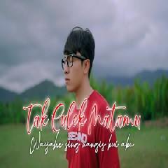 Download Lagu Ilux - KDRT Tak Culek Matamu Terbaru
