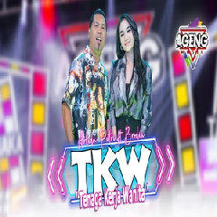 Download Lagu Arlida Putri - TKW (Tenaga Kerja Wanita) Ft Brodin Ageng Music Terbaru