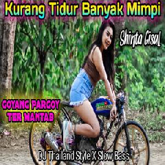 Shinta Gisul - Dj Kurang Tidur Banyak Mimpi Thailand Slow Bass.mp3