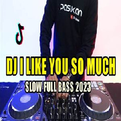 Dj Opus - Dj I Like You So Much Remix Tiktok Viral 2023 Slow Bass Mantap.mp3