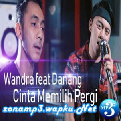 Download Lagu Wandra - Cinta Memilih Pergi Feat Danang Terbaru