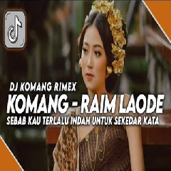 Dj Komang - Dj Sebab Kau Terlalu Indah Jedag Jedug Raim Laode Versi Remix Viral Tiktok 2023.mp3