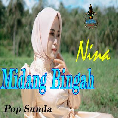 Nina - Midang Bingah Darso.mp3