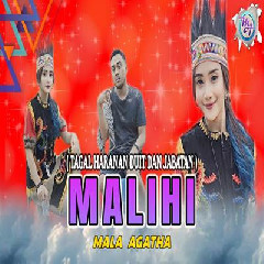 Download Lagu Mala Agatha - Malihi Viral TikTok Terbaru