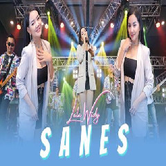 Download Lagu Lala Widy - Sanes (Ngancani Nanging Ora Iso Nduweni) Terbaru