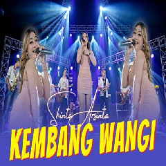 Download Lagu Shinta Arsinta - Kembang Wangi (Nggo Sandaran Kupu Kupu) Terbaru