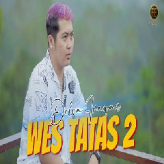 Download Lagu Delva Irawan - Wes Tatas 2 Terbaru
