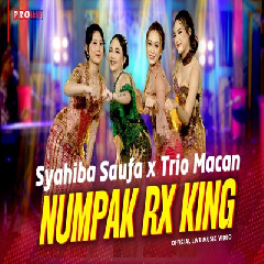 Syahiba Saufa X Trio Macan - Numpak RX King.mp3