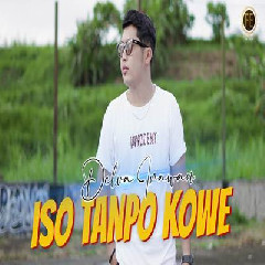 Download Lagu Delva Irawan - Iso Tanpo Kowe (Opo Ra Ngelingi Sopo Sing Ngancani) Terbaru