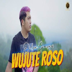 Download Lagu Delva Irawan - Wujute Roso Terbaru
