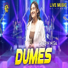 Shepin Misa - Dumes Ft Om Nirwana Comeback.mp3