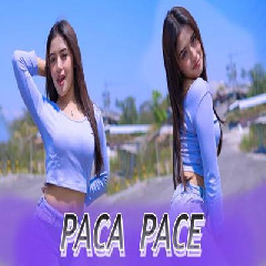 Kelud Music - Dj Paca Pace Ting Tang Ting.mp3