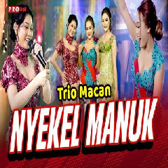 Trio Macan - Nyekel Manuk.mp3