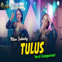 Download Lagu Niken Salindry - Tulus Versi Campursari Terbaru