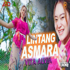 Download Lagu Vita Alvia - Lintang Asmoro Remix Version Terbaru