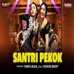 Download Lagu Shinta Gisul - Santri Pekok Ft Syahiba Saufa (Dangdut Koplo Version) Terbaru