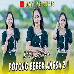 Vita Alvia - Potong Bebek Angsa 2 Dj Remix.mp3