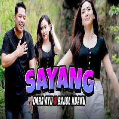 Download Lagu Dara Ayu X Bajol Ndanu - Sayang Terbaru