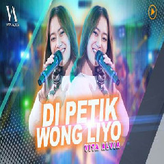 Vita Alvia - Dipetik Wong Liyo.mp3