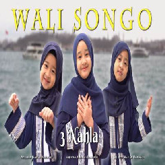 Download Lagu 3 Nahla - Wali Songo Terbaru