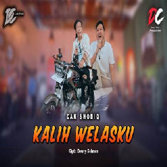 Cak Sodiq - Kalih Welasku DC Musik.mp3