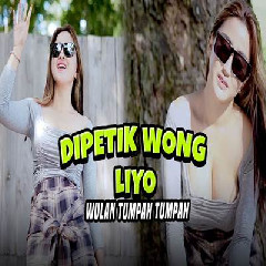 Wulan Tumpah Tumpah - Dipetik Wong Liyo.mp3