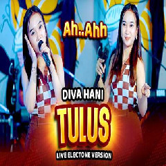 Download Lagu Diva Hani - Tulus Electone Version Terbaru