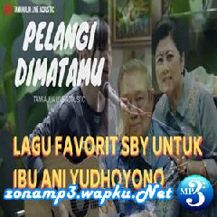 Tami Aulia - Pelangi Dimatamu - Jamrud (Cover).mp3