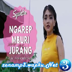 Syahiba Saufa - Ngarep Mburi Jurang.mp3