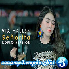 Via Vallen - Senorita (Koplo Cover Version).mp3