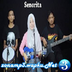 Download Lagu Ferachocolatos - Senorita (Cover) Terbaru