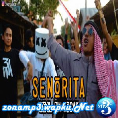 Download Lagu 3way Asiska - Senorita (Arab Gokil Vs Marshmello Ngawur) Terbaru