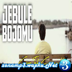 Download Lagu Ilux ID - Sing Tak Sawang Kae Jebule Bojomu Terbaru