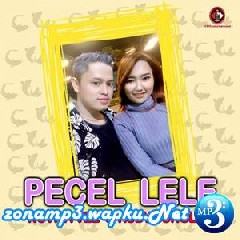 Download Lagu Novita Vee & Rudy Bunglon - Pecel Lele Terbaru