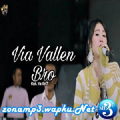 Download Lagu Via Vallen - Bro (Sera Dangdut Koplo) Terbaru