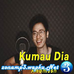 Arvian Dwi Pangestu - Kumau Dia - Andmesh (Cover).mp3