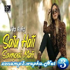 Download Lagu Vita Alvia - DJ Satu Hati Sampai Mati Terbaru