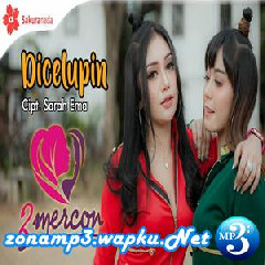 2Mercon - Dicelupin.mp3
