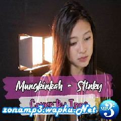 Ines - Mungkinkah - Stinky (Cover).mp3