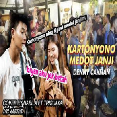 Download Lagu Nabila Maharani - Kartonyono Medot Janji (Akustik Cover Ft. Tri Suaka) Terbaru