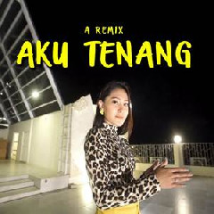 Vita Alvia - Aku Tenang (Versi DJ Remix).mp3