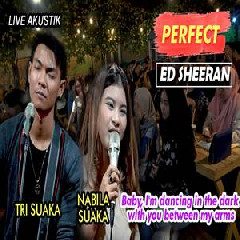 Nabila Suaka - Perfect Ft. Tri Suaka (Cover).mp3