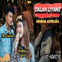Download Lagu Nabila Suaka - Dalan Liyane Ft. Tri Suaka (Akustik Cover) Terbaru