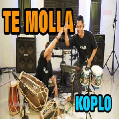 Beny Serizawa - Te Molla (Koplo Version).mp3